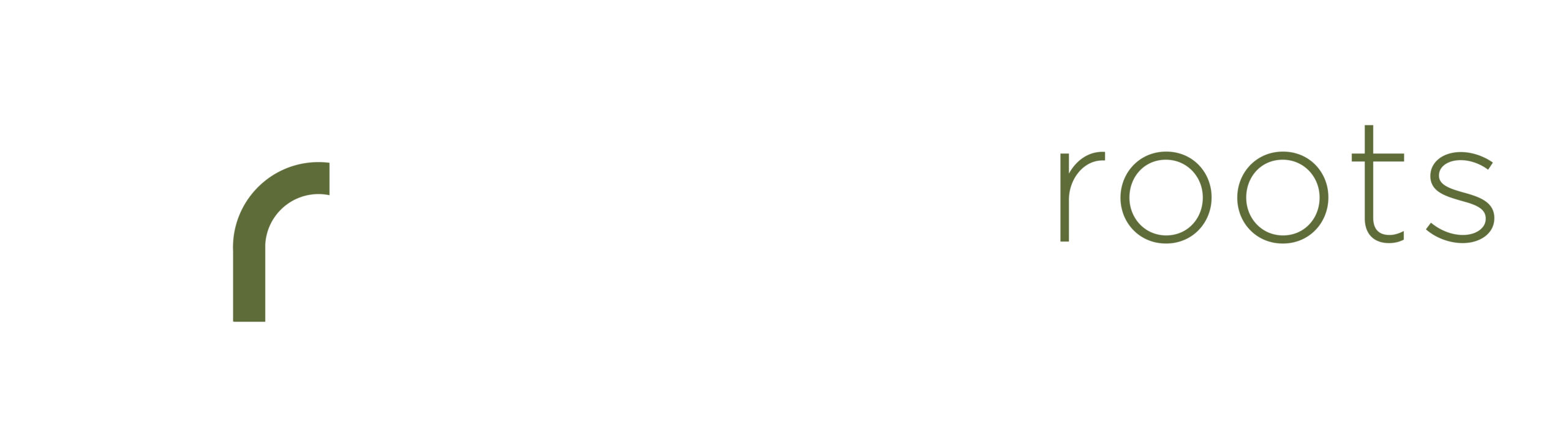 designroots.co.za